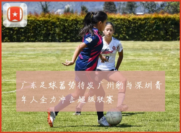 广东足球蓄势待发广州豹与深圳青年人全力冲击超级联赛
